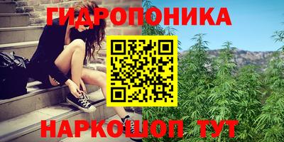 Альфа ПВП Северобайкальск