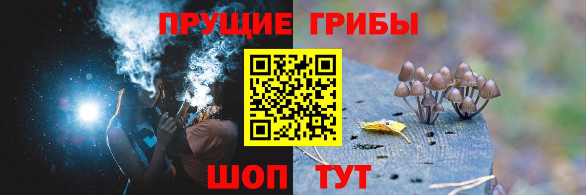 Галлюциногенные грибы прущие грибы  Галлюциногенные грибы мицелий  Вход с VPN  Нарткала 